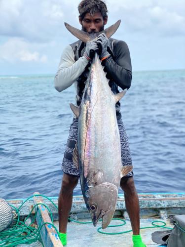 RISING SUN BEACH VIEW RISING SUN BEACH VIEW