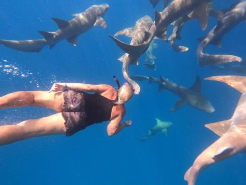 RISING SUN BEACH VIEW RISING SUN BEACH VIEW