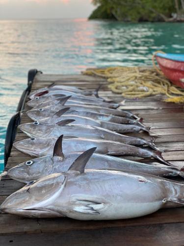 RISING SUN BEACH VIEW RISING SUN BEACH VIEW