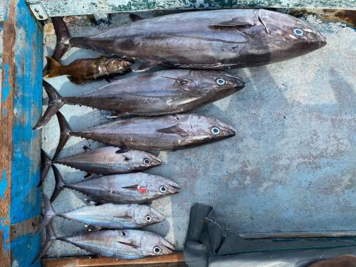 RISING SUN BEACH VIEW RISING SUN BEACH VIEW