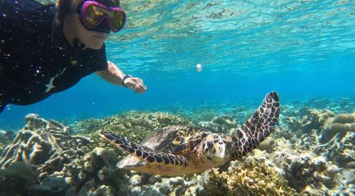 RISING SUN BEACH VIEW RISING SUN BEACH VIEW