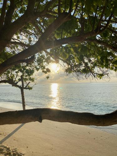 RISING SUN BEACH VIEW RISING SUN BEACH VIEW