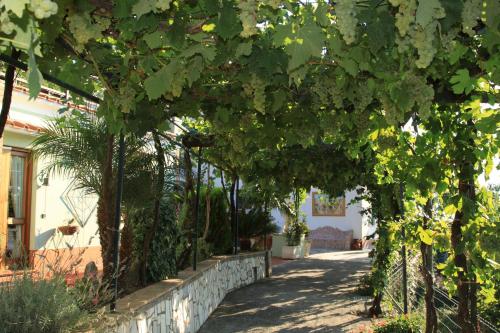 B&B Il Grappolo - main image