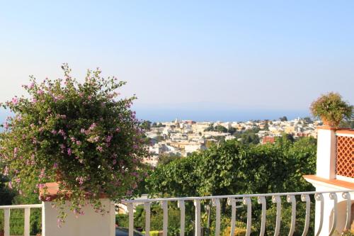 B&B Il Grappolo - image 8