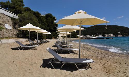 Golden View - image 12