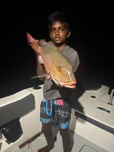 RISING SUN BEACH VIEW RISING SUN BEACH VIEW