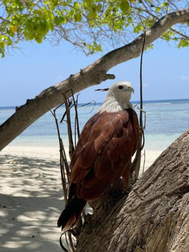 RISING SUN BEACH VIEW RISING SUN BEACH VIEW