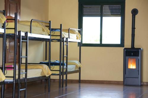 1 Bunk Bed in 20-Bed Mixed Dormitory Room