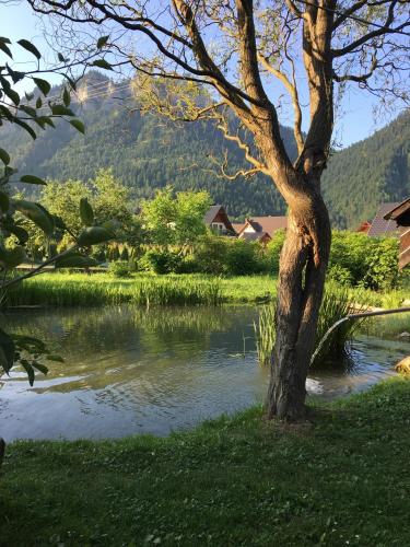 Garden, Apartament i pokoje u Piotra in Sromowce Nizne