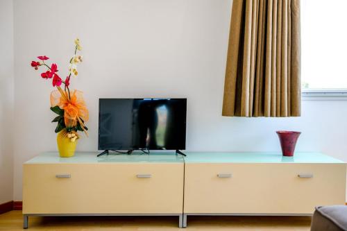 Deluxe Apartment image 10