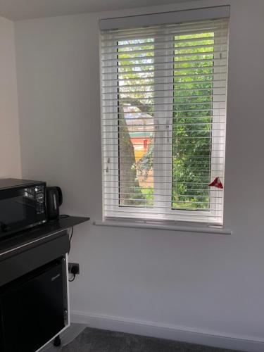 Self contained ensuite double bedroom with own entrance FREE OFF STREET PARKING, Londýn (fotografie 9)