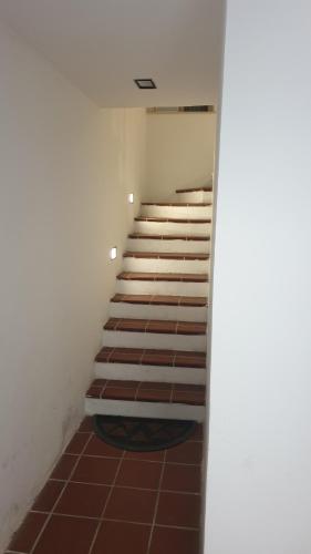 Nika apartment