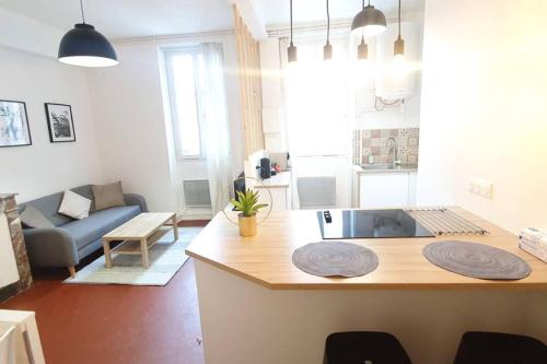 . T2 COSY AU CALME,ENTREE AUTONOME,CENTRE HISTORIQUE