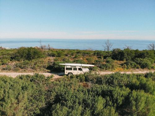 الأنشطة, The Nest in ليجر آيل