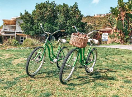 الأنشطة, The Nest in ليجر آيل