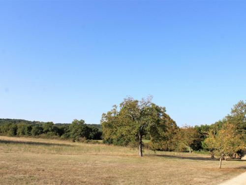 Gîte Azerat, 4 pièces, 6 personnes - FR-1-616-138