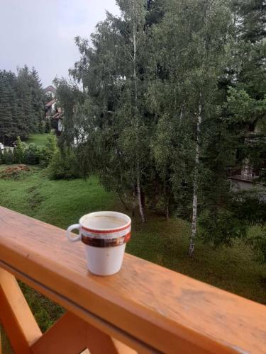 Aleksandar apartman Zlatibor