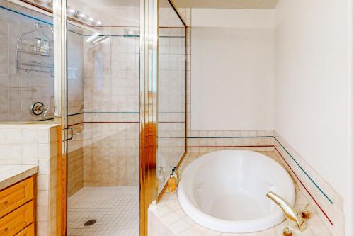 Benchmark 244 - Vista Lodge - image 3