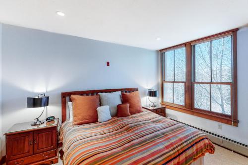 Palmyra 4A - Panoramic Peaks Lodge, Telluride (fotografie 9)