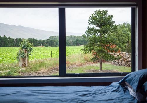 Kilátás, Honey Cottage in Ettrick in Millers Flat