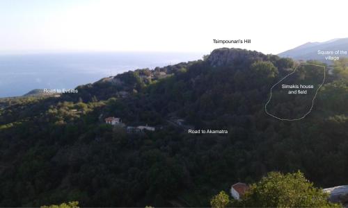 Surrounding environment, Stoneworld in Other