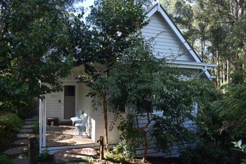 Fern Falls Cottages - Fern Cottage - Accommodation - Mount Dandenong