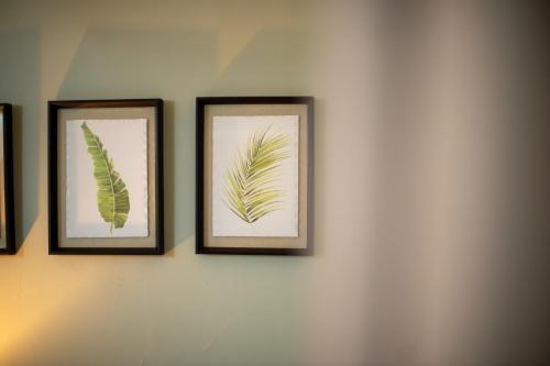 Corffe House and Holiday Cottages - image 4