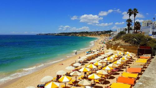 Appt 350m From The Beach - Algarve - main image