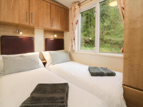 Exe Valley Lodge - image 6