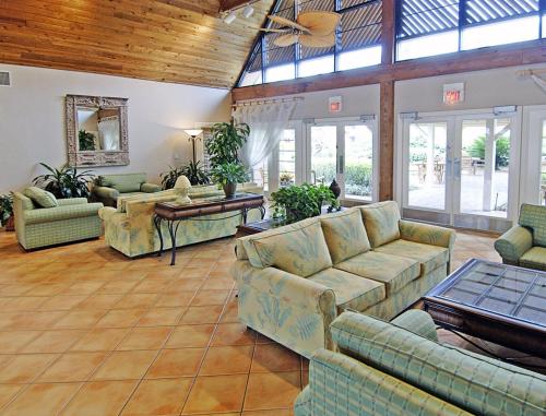 Exotic Tropical Resort Condo near Disney World - One Bedroom Condo #1 - image 3