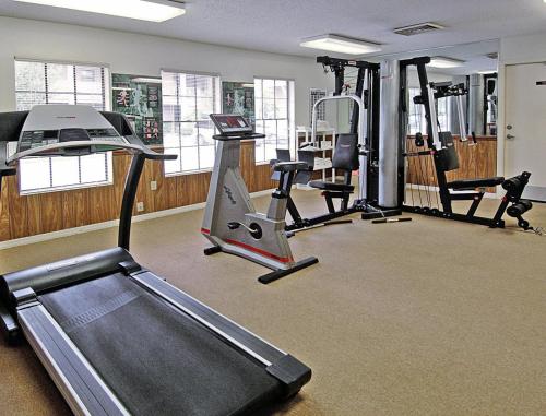 Exotic Tropical Resort Condo near Disney World - One Bedroom Condo #1 - image 4