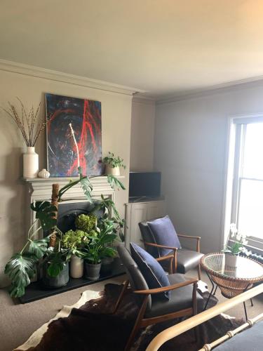 The Pink House - image 8