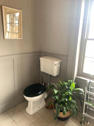 The Pink House - image 10
