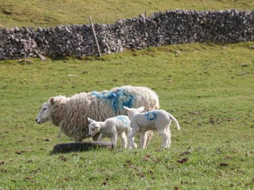 Shepherds Retreat - image 6