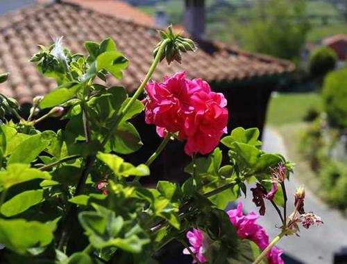 Casa Rural La Tayuela