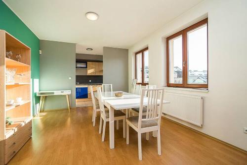 Great Terrace in Big, Central Flat, Praha (fotografie 6)