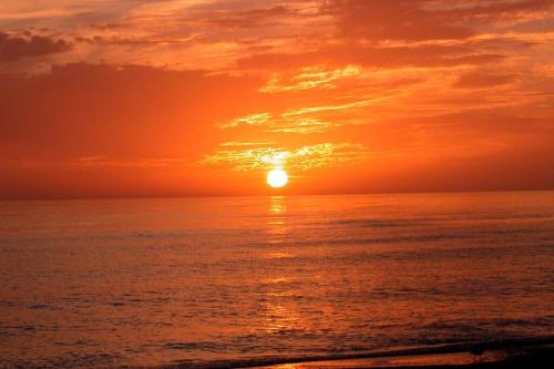 Siesta Key Village-Suite #1: A Block to the Beach! thumb 3
