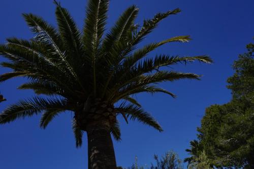 Agroturismo Sa Pletassa - main image