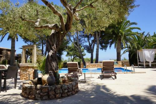 Agroturismo Sa Pletassa - image 6