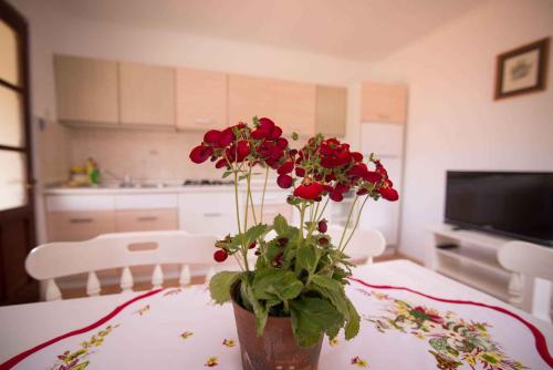 Apartments in Veli Losinj 14929 - image 7