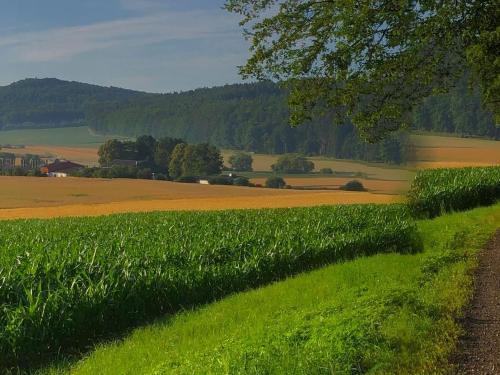 Ferienhaus Marlen 6.4km von Wolfhagen entfernt