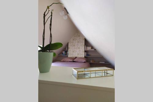Maison de pecheur renovee - Cour close ensoleillee