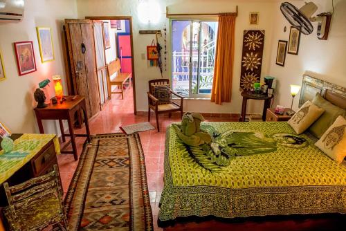 Majikal B&B - Budha