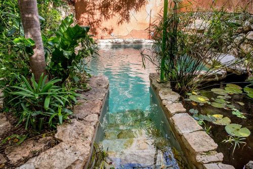 Peldbaseins, Budha by Majikal B&B in Merida