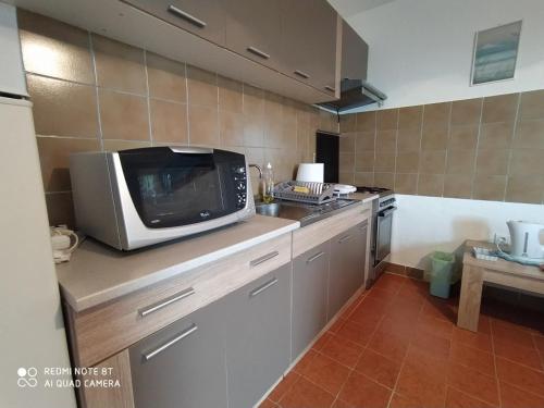 APARTMAN IVANO