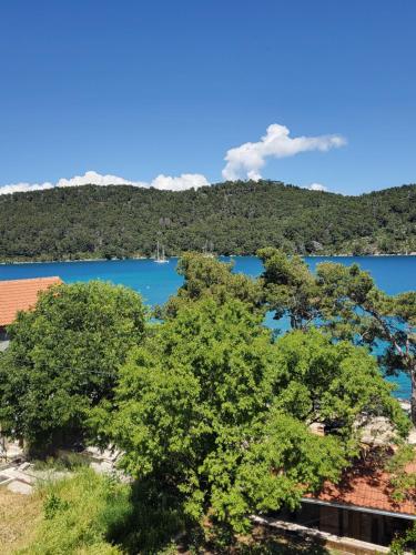 Mljet