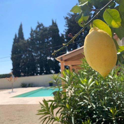 Le Mas Andoli – Tresques, GA