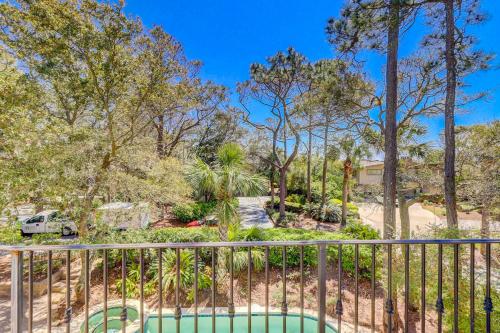 Piping Plover 12 in South Beach