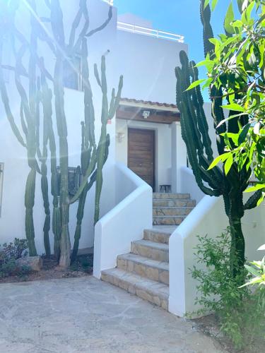 Luxury Ibiza Villa by the Sea gîte à louer Cala Llonga
