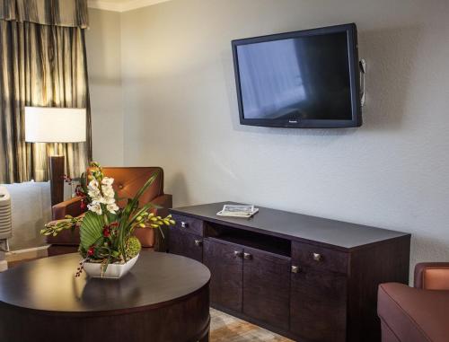 Remodeled Suite with Superb Amenities in Kissimmee - One Bedroom #1 - image 5
